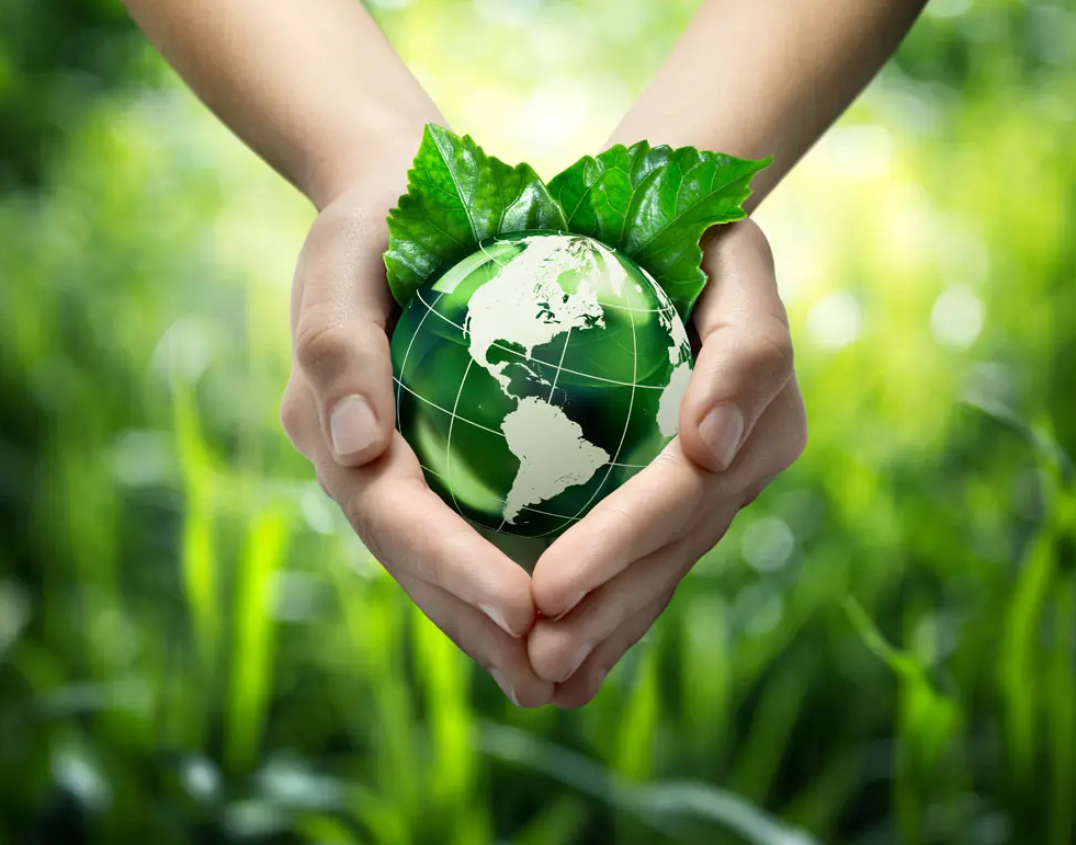 關于綠色印刷，這些你都知道嗎？