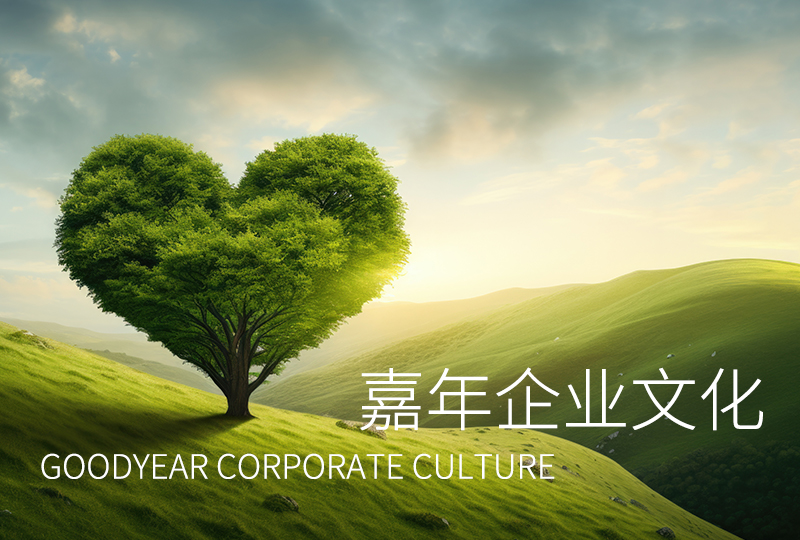 嘉年印務(wù)企業(yè)文化正式發(fā)布